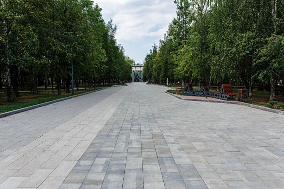 Тротуарная плитка ПРЯМОУГОЛЬНИК - Искусственный камень Шунгит