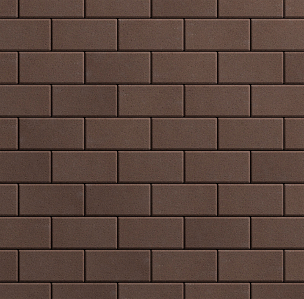 Тротуарная плитка Прямоугольник Стандарт  100х200 - korichnevyj_standart